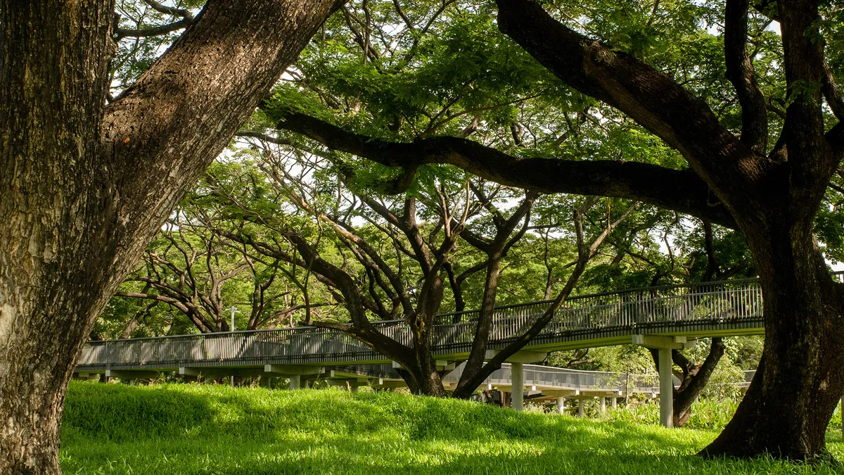 Công viên Benjakitti - ốc đảo xanh giữa lòng Bangkok - Ảnh 1.