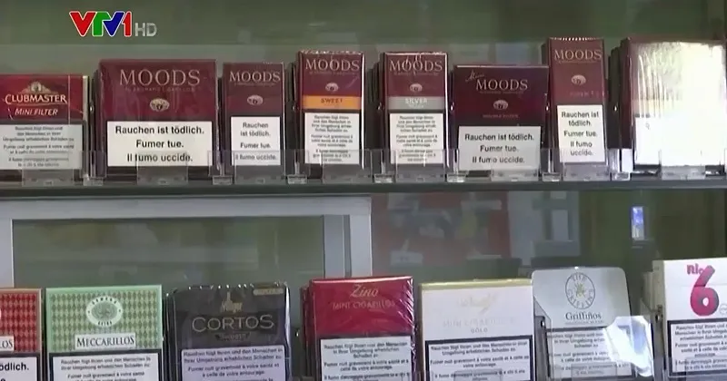 4.500 tỷ đầu lọc thuốc lá bị thải ra môi trường mỗi năm - Ảnh 1.