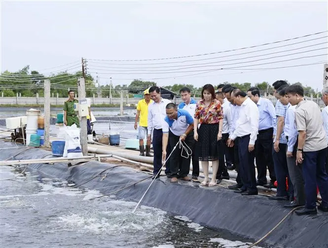 Chủ tịch nước: Bến Tre không thể mãi ở nhóm cuối - Ảnh 3.