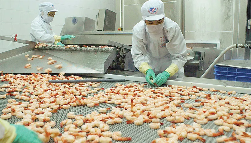 Nhiều cơ hội cho doanh nghiệp Việt bán hàng vào Mỹ - Ảnh 1. Nhiều cơ hội cho doanh nghiệp Việt bán hàng vào Mỹ - Ảnh 1.