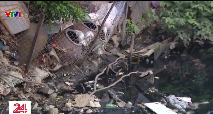 &Aacute;m ảnh con k&ecirc;nh nu&ocirc;i muỗi ở quận B&igrave;nh T&acirc;n - Ảnh 1.