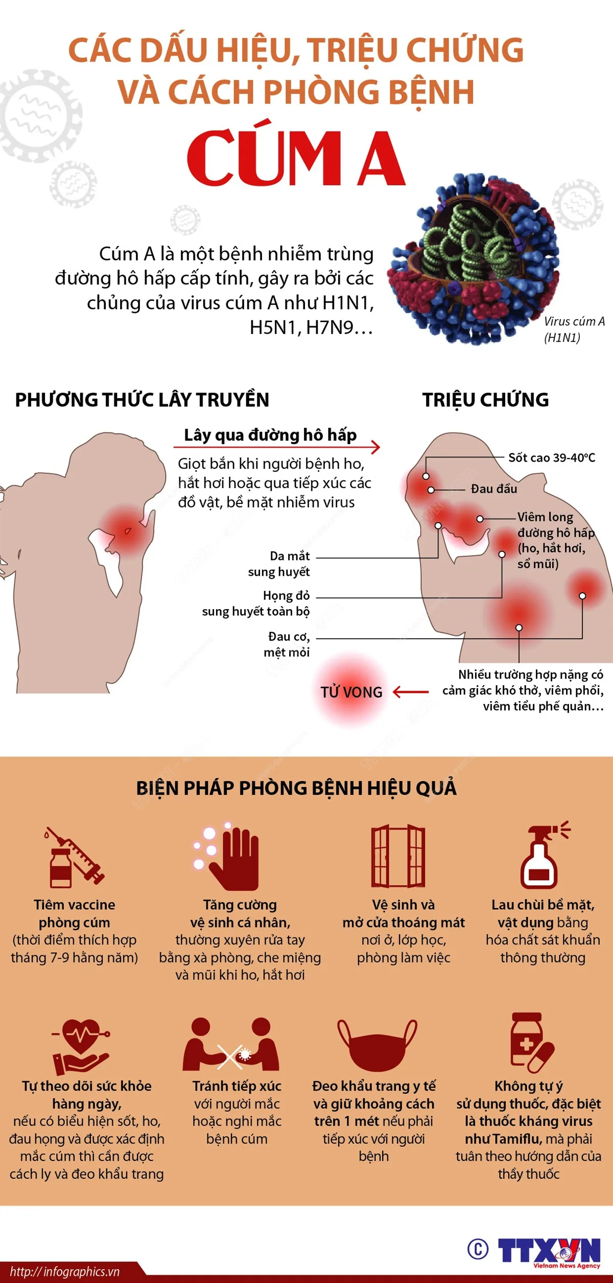 Các dấu hiệu, triệu chứng và cách phòng bệnh cúm A - Ảnh 1.