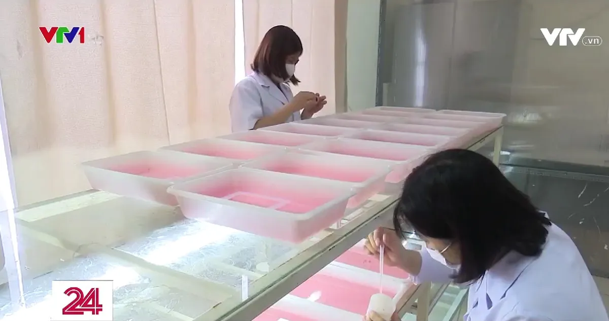 Ngồi im cho muỗi đốt - C&ocirc;ng việc kh&ocirc;ng phải ai cũng d&aacute;m thử - Ảnh 2.