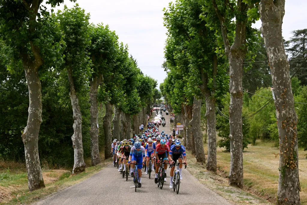 Christophe Laporte giành chiến thắng chặng 19 Tour de France - Ảnh 1. Christophe Laporte giành chiến thắng chặng 19 Tour de France - Ảnh 1.
