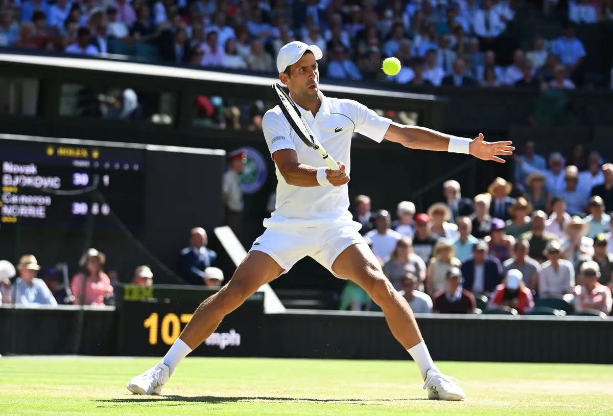 Novak Djokovic có lần thứ 8 vào chung kết Wimbledon - Ảnh 2. Novak Djokovic có lần thứ 8 vào chung kết Wimbledon - Ảnh 2.