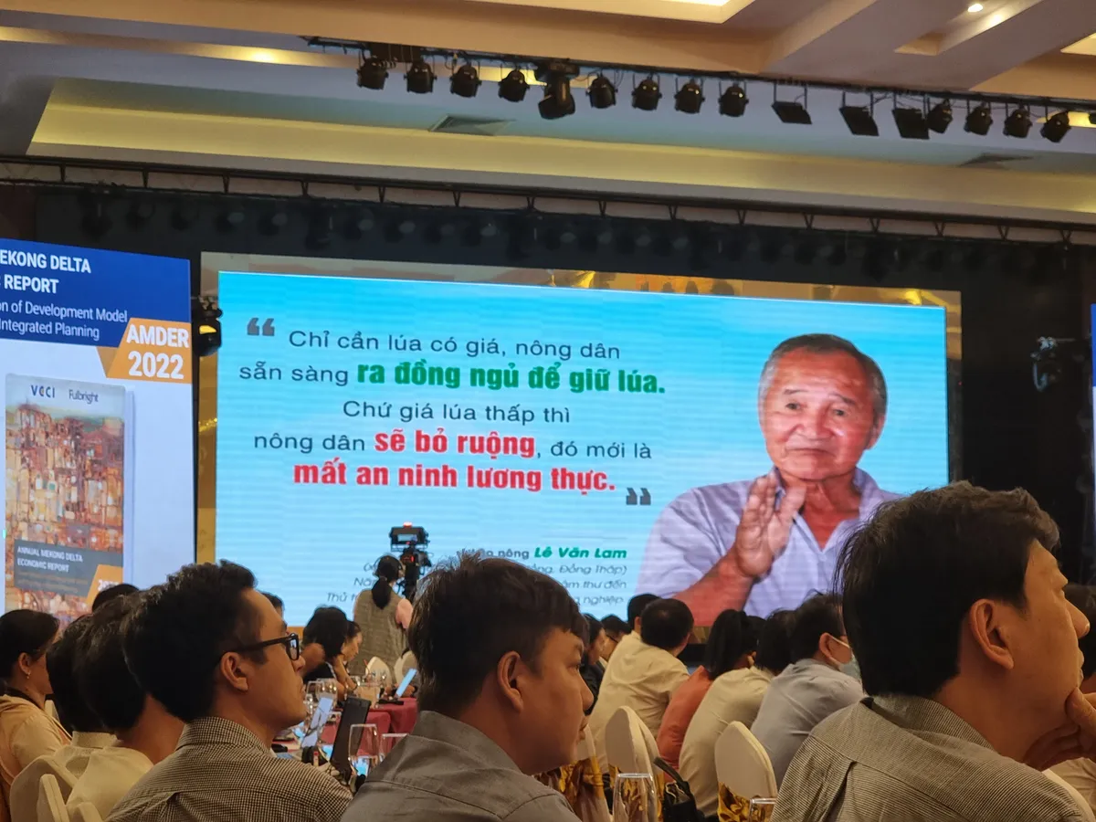 T&igrave;m m&ocirc; h&igrave;nh ph&aacute;t triển mới cho ĐBSCL: Kh&oacute; khăn nhưng phải ki&ecirc;n tr&igrave; - Ảnh 4.