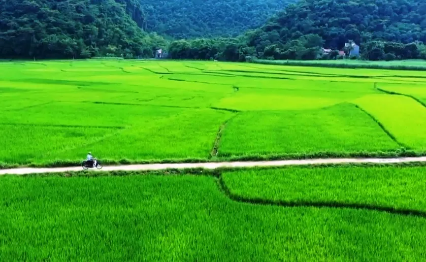 Dòng họ tự quản về an ninh, trật tự - Ảnh 2.