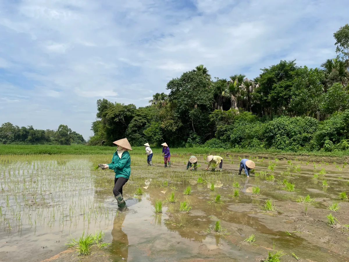 Về &ldquo;ng&ocirc;i l&agrave;ng tiến sĩ&rdquo; nổi danh đất Bắc một thời - Ảnh 2.