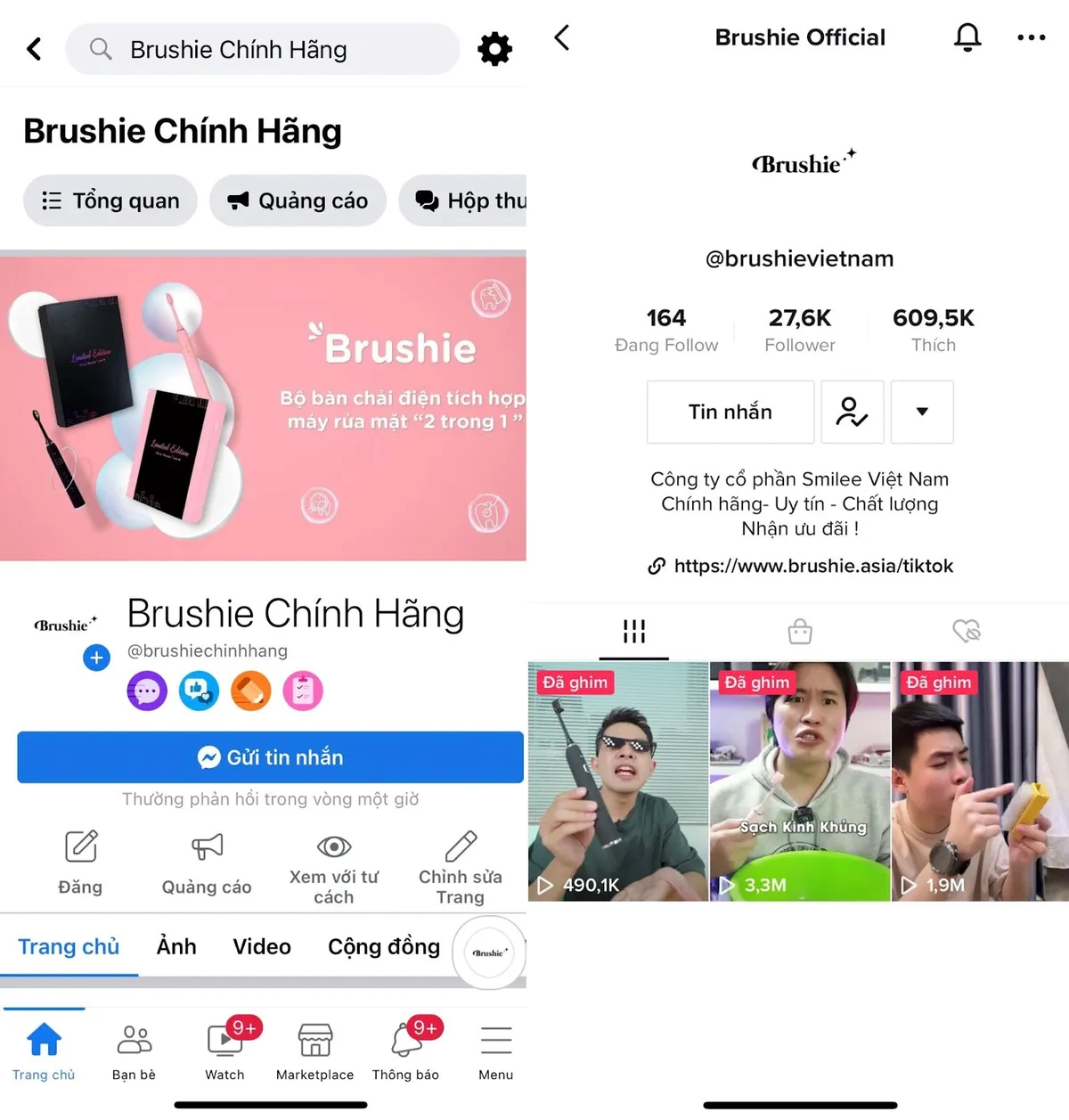 Brushie và Giấc mơ vươn tầm Đông Nam Á - Ảnh 3.