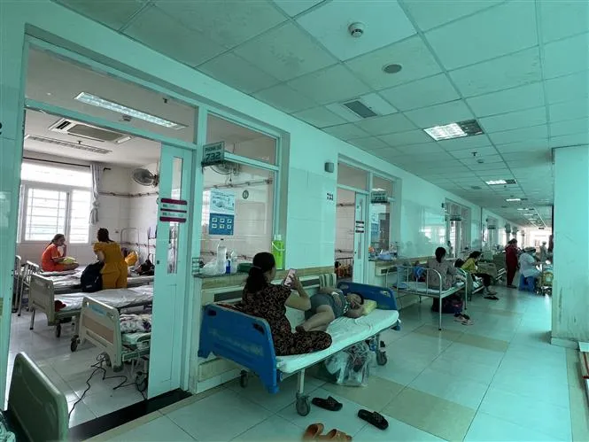 Cần Thơ: Số ca mắc sốt xuất huyết tăng 21 lần so với cùng kỳ năm 2021 - Ảnh 1.