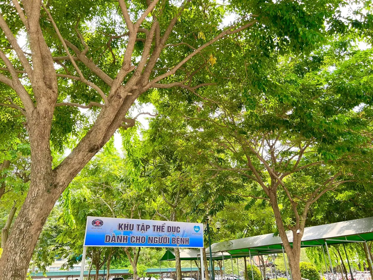 Đưa vào hoạt động khu tập thể dục dành cho bệnh nhân ung thư - Ảnh 5.