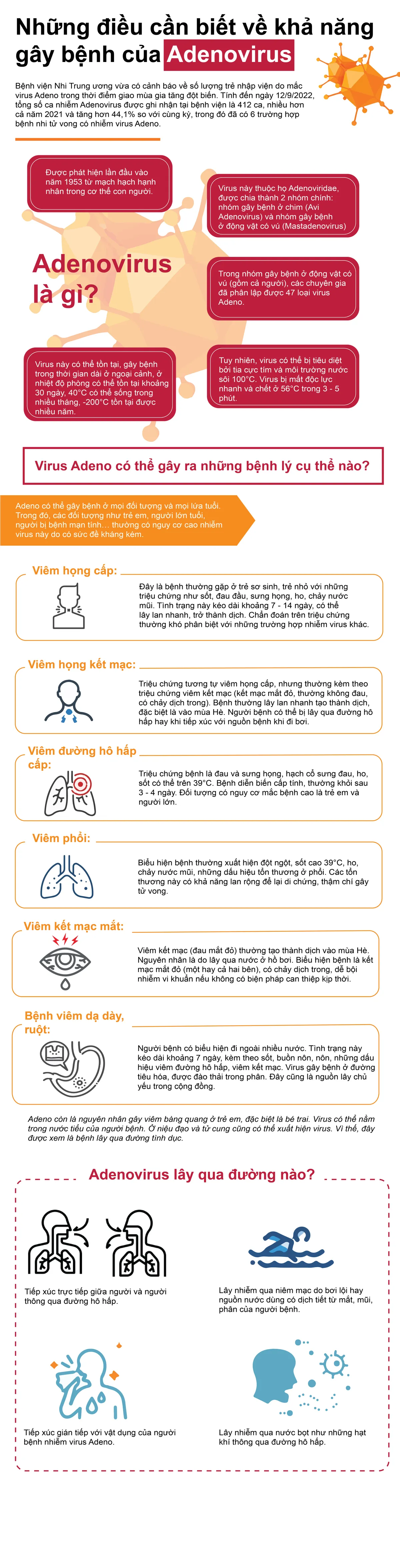 [Infographic] Adenovirus gây bệnh nguy hiểm ra sao, lây nhiễm như thế nào? - Ảnh 1.