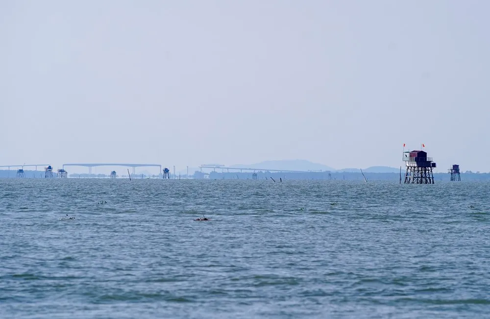 Hải Ph&ograve;ng: Ki&ecirc;n quyết di dời c&aacute;c hộ nu&ocirc;i ngao kh&ocirc;ng ph&eacute;p - Ảnh 2.