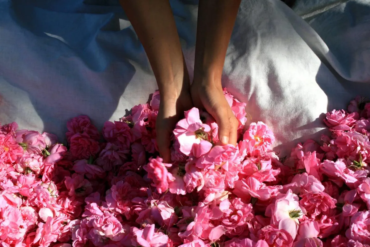 Với m&ugrave;i hương đậm chất Ph&aacute;p, nước giặt xả Chant&eacute; khiến hội chị em m&ecirc; mẩn - Ảnh 1.