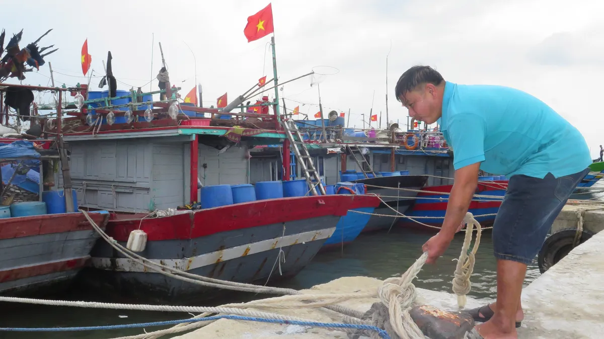 Các tỉnh miền Trung khẩn trương ứng phó với cơn bão số 4 - Ảnh 1.