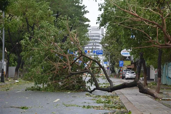 Bão số 4 gây thiệt hại thế nào đối với nông nghiệp? - Ảnh 3.