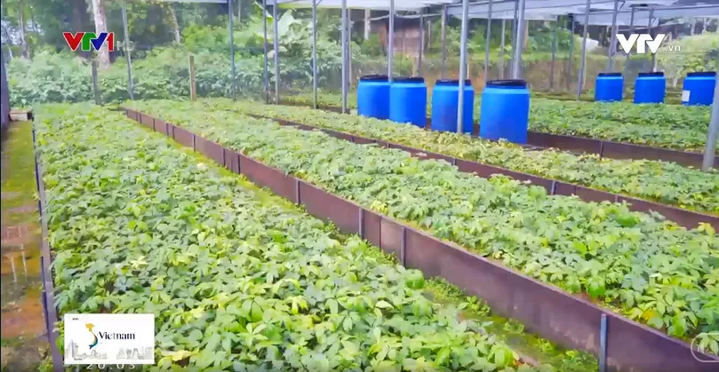 Quốc bảo trên rẻo cao Tây Bắc - Ảnh 1.