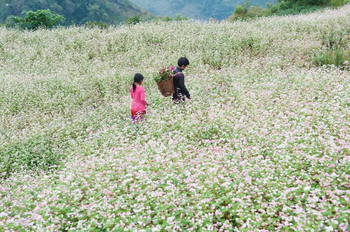 5 điểm đến ở Việt Nam để tận hưởng không khí lễ hội mùa thu - Ảnh 3.