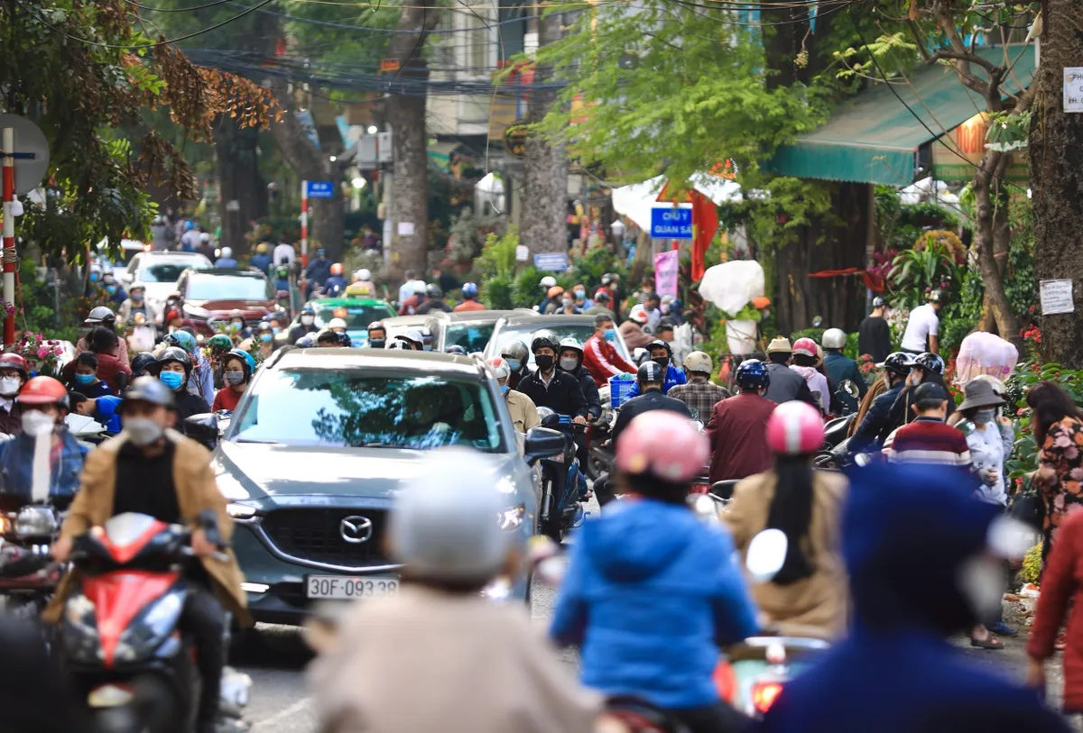 Chợ hoa Xuân Hoàng Hoa Thám (Hà Nội) tấp nập những ngày giáp Tết - Ảnh 1.