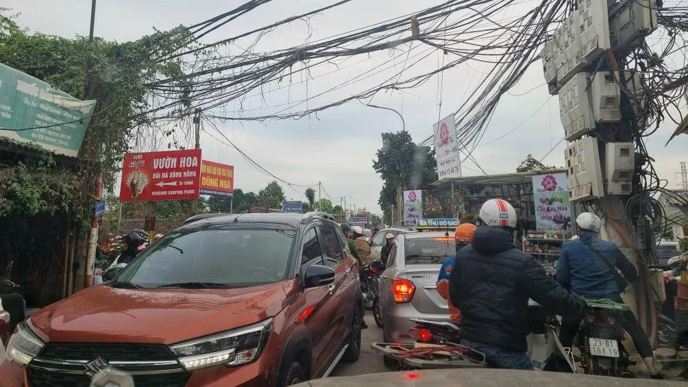 Khách đổ xô vào vườn đào Nhật Tân ngày cuối tuần, giao thông ùn tắc - Ảnh 6.