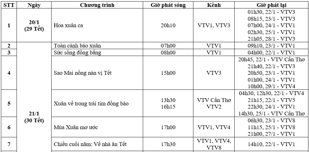 Xem gì Tết Nguyên đán Quý Mão trên VTV? - Ảnh 1.