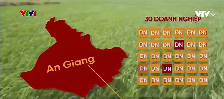 Nông nghiệp là lợi thế quốc gia - Ảnh 2.