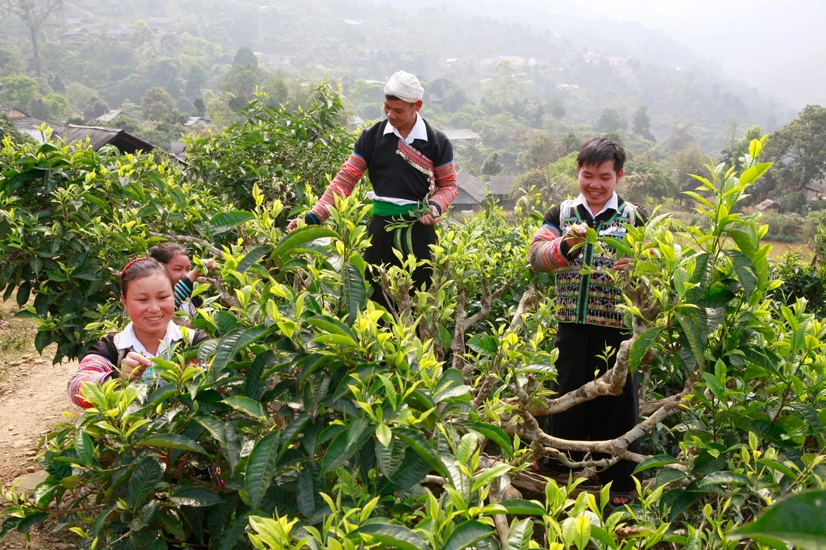 Đánh thức nông nghiệp đa giá trị - Ảnh 1.