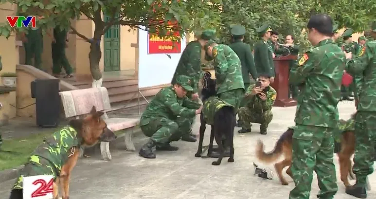 Việt Nam điều chó nghiệp vụ cứu nạn thảm họa động đất tại Thổ Nhĩ Kỳ - Ảnh 3.