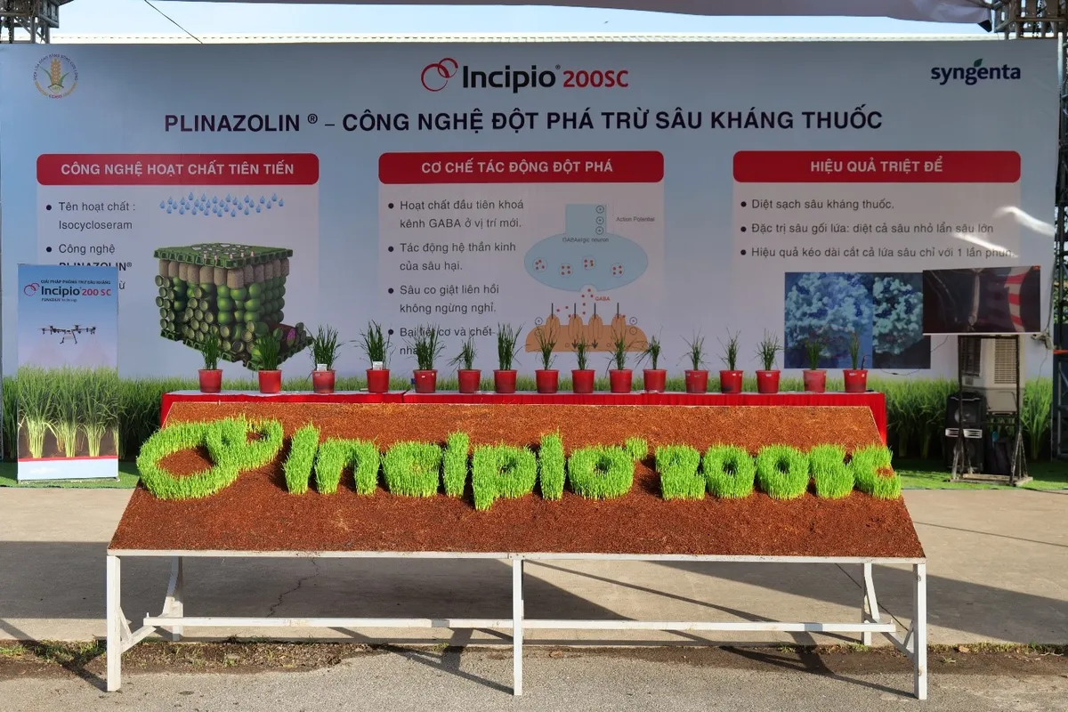Incipio 200SC - Giải pháp đột phá công phá tính kháng của sâu hại - Ảnh 4.