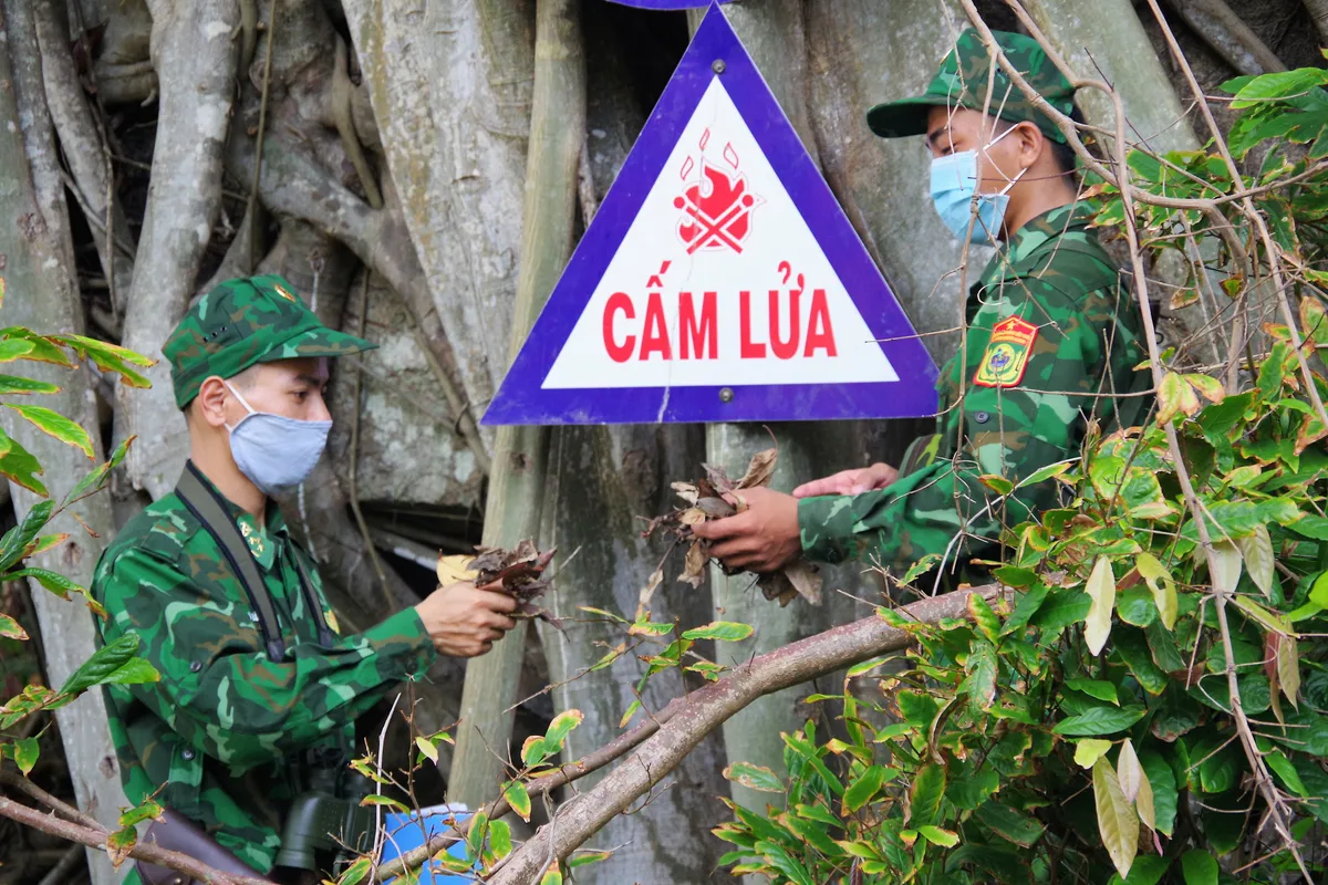 Cà Mau: Tết trồng cây, làm cho đất nước càng ngày thêm Xuân - Ảnh 1.