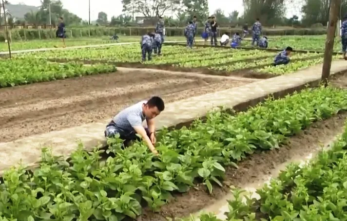 Những ngày đầu trong quân ngũ của chiến sĩ vùng 3 - Ảnh 1.