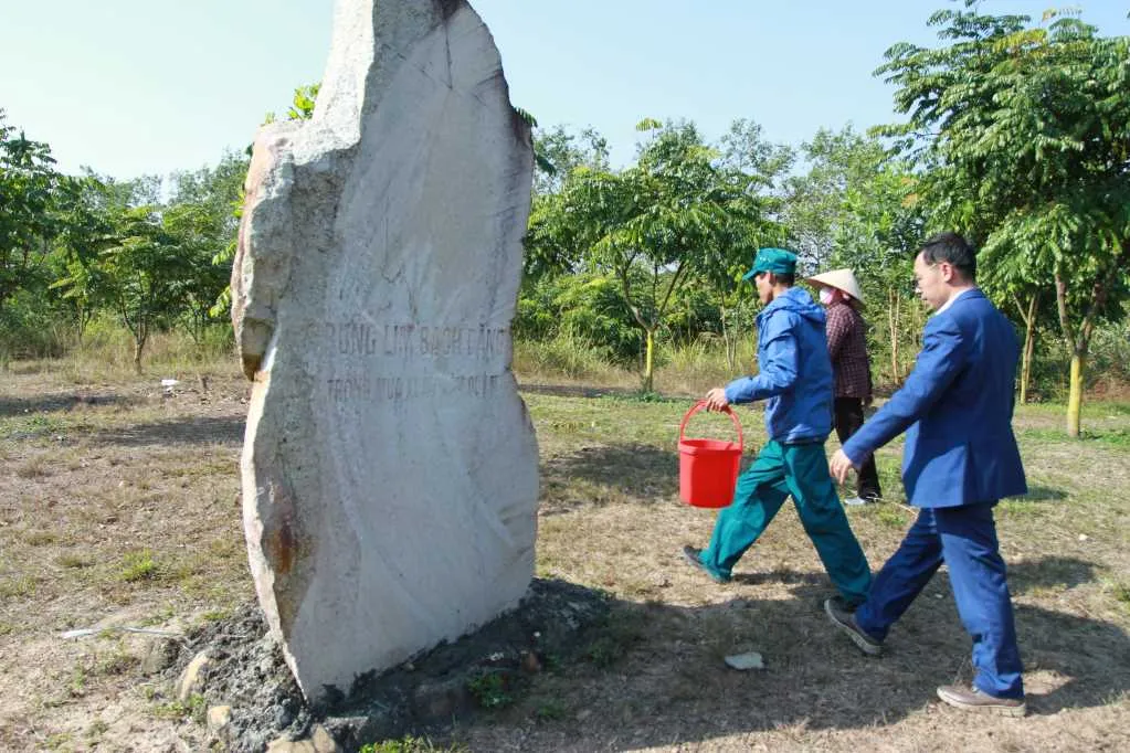 Tái tạo rừng lim tại Khu di tích lịch sử chiến thắng Bạch Đằng - Ảnh 2.