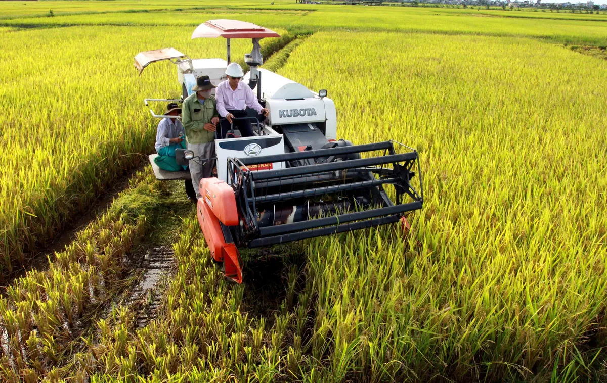 1 phải 5 giảm - kỹ thuật canh tác lúa giúp giảm phát thải, giảm chi phí - Ảnh 1.