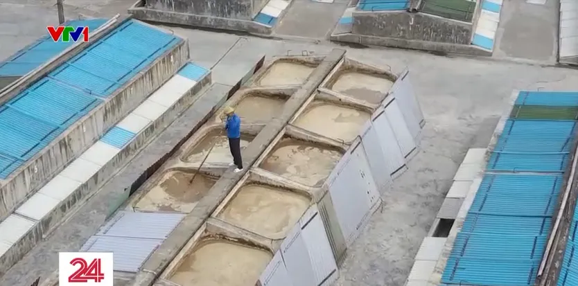 Vững vàng bám biển đầu xuân - Ảnh 9. Vững vàng bám biển đầu xuân - Ảnh 9.