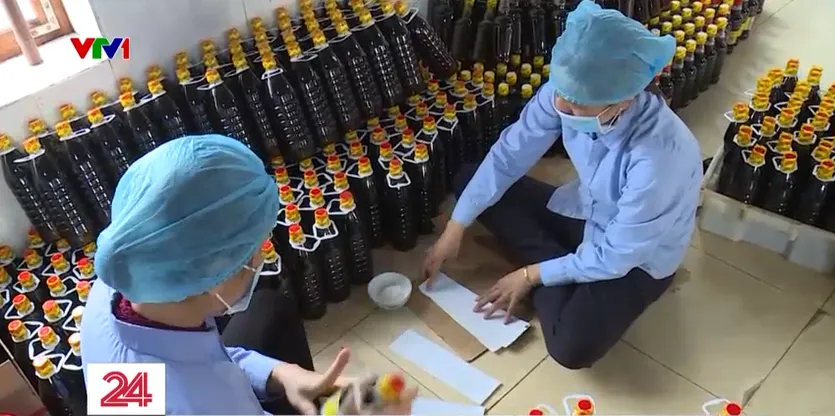 Vững vàng bám biển đầu xuân - Ảnh 11. Vững vàng bám biển đầu xuân - Ảnh 11.