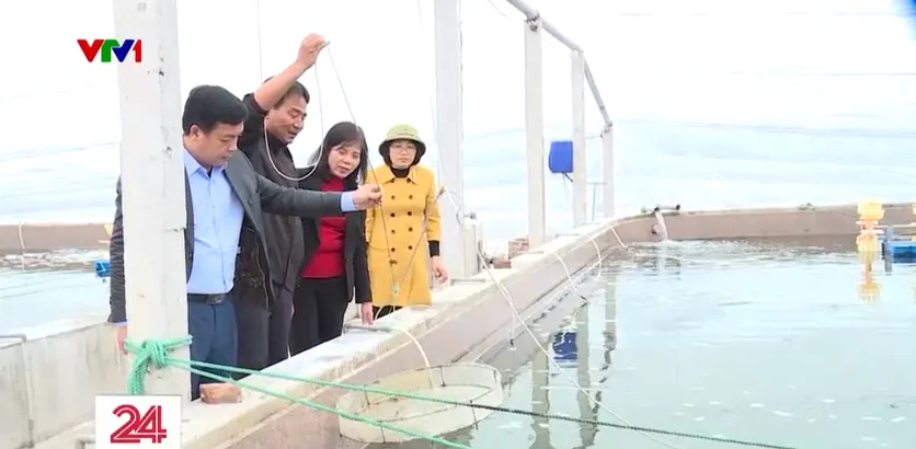 Vững vàng bám biển đầu xuân - Ảnh 15. Vững vàng bám biển đầu xuân - Ảnh 15.