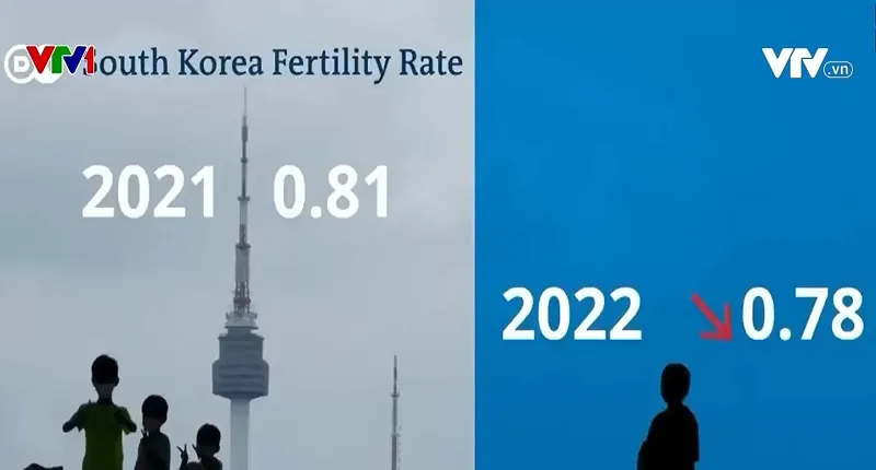 Nhiều phụ nữ H&agrave;n Quốc từ chối h&ocirc;n nh&acirc;n v&agrave; quyền l&agrave;m mẹ - Ảnh 1.