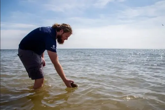 Con ngao khổng lồ tuổi đời 214 năm nặng 1,2kg, su&yacute;t bị đưa l&ecirc;n b&agrave;n nhậu - Ảnh 1.