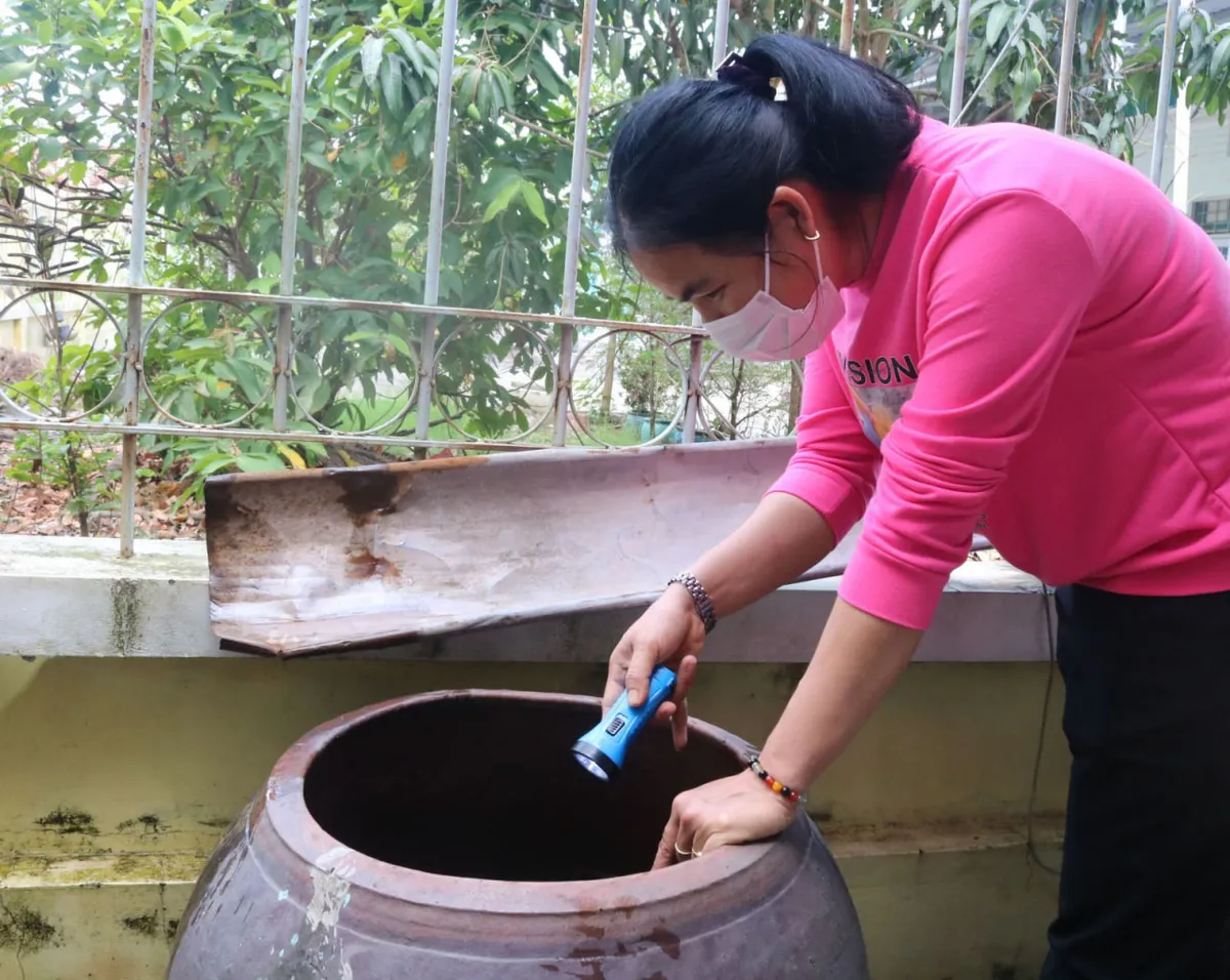 Long An đẩy mạnh công tác phòng, chống sốt xuất huyết - Ảnh 1.