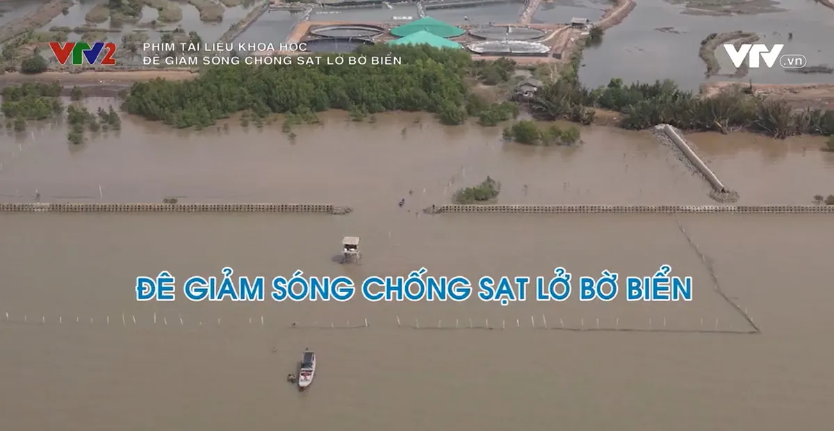 Nhà báo Phạm Xuân Hùng: Giải thưởng tại Liên hoan Truyền hình toàn quốc là niềm vinh dự, động viên, khích lệ cho cả ekip - Ảnh 3.