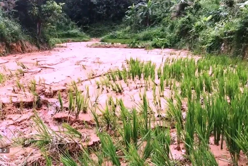 Điện gió làm mất sinh kế của đồng bào - Ảnh 2.