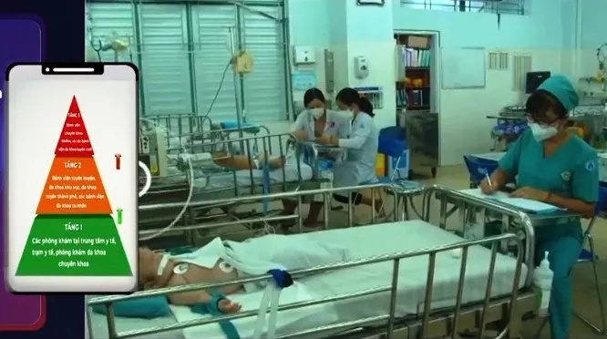 Phân tầng điều trị sốt xuất huyết - Ảnh 1. Phân tầng điều trị sốt xuất huyết - Ảnh 1.