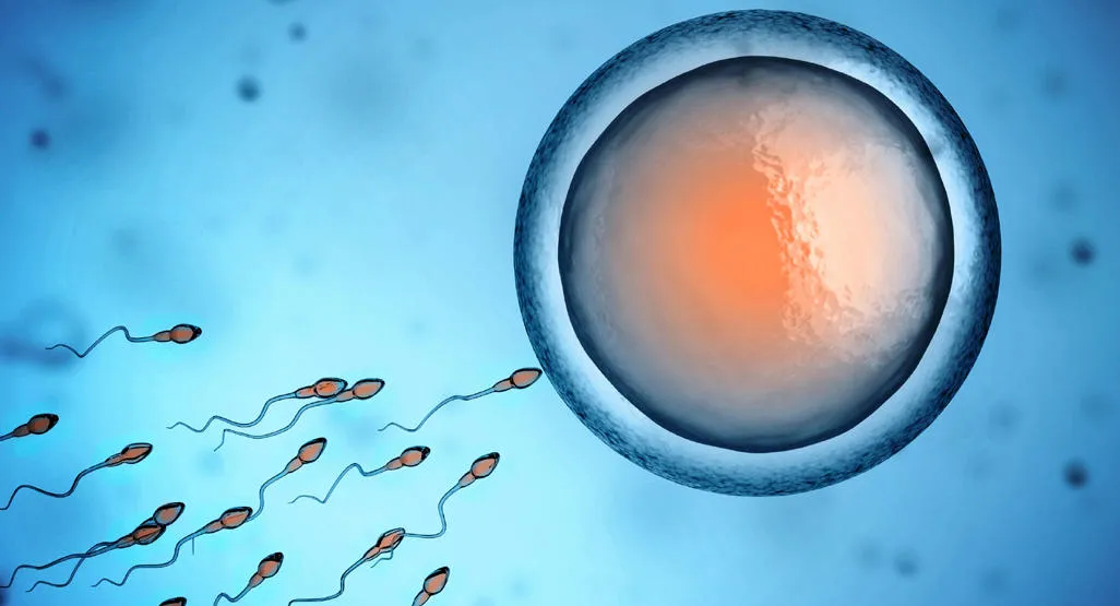 Kỹ thuật mới &ldquo;hiệu quả khoảng 80%&rdquo; trong việc sinh con theo giới t&iacute;nh mong muốn - Ảnh 1.