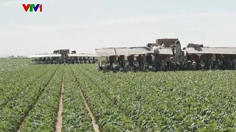 Cuộc chiến ph&aacute;p l&yacute; về nước giữa c&aacute;c bang ở Mỹ - Ảnh 2.