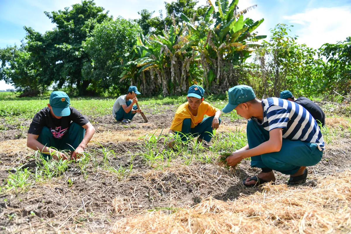 Chiến sĩ ‘sao vuông’ rèn luyện, bảo vệ vùng biên - Ảnh 8. Chiến sĩ ‘sao vuông’ rèn luyện, bảo vệ vùng biên - Ảnh 8.