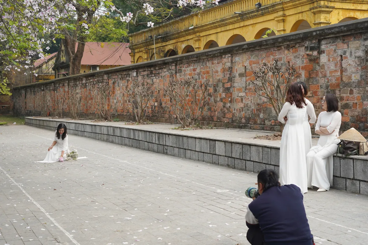 Hà Nội tháng 3: Sắc hoa đua nở đan xen mùa thay lá đẹp ngẩn ngơ - Ảnh 5.