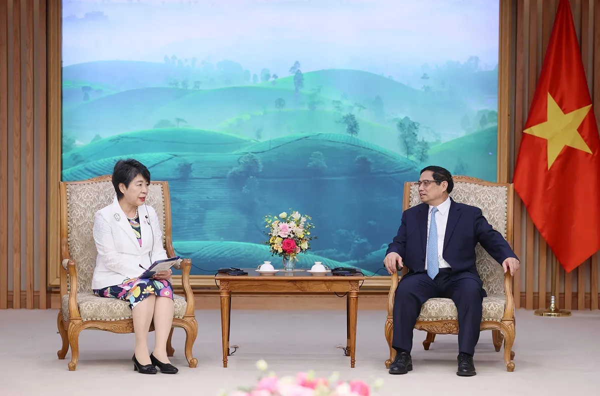 Việt Nam đóng vai trò rất quan trọng trong chính sách đối ngoại của Nhật Bản tại khu vực - Ảnh 2.