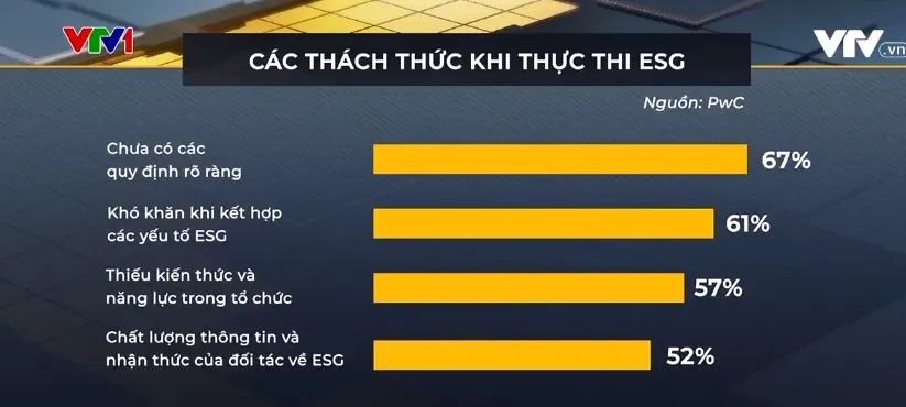 Châu Âu hỗ trợ doanh nghiệp nhỏ và vừa Việt Nam thực hành ESG - Ảnh 1.