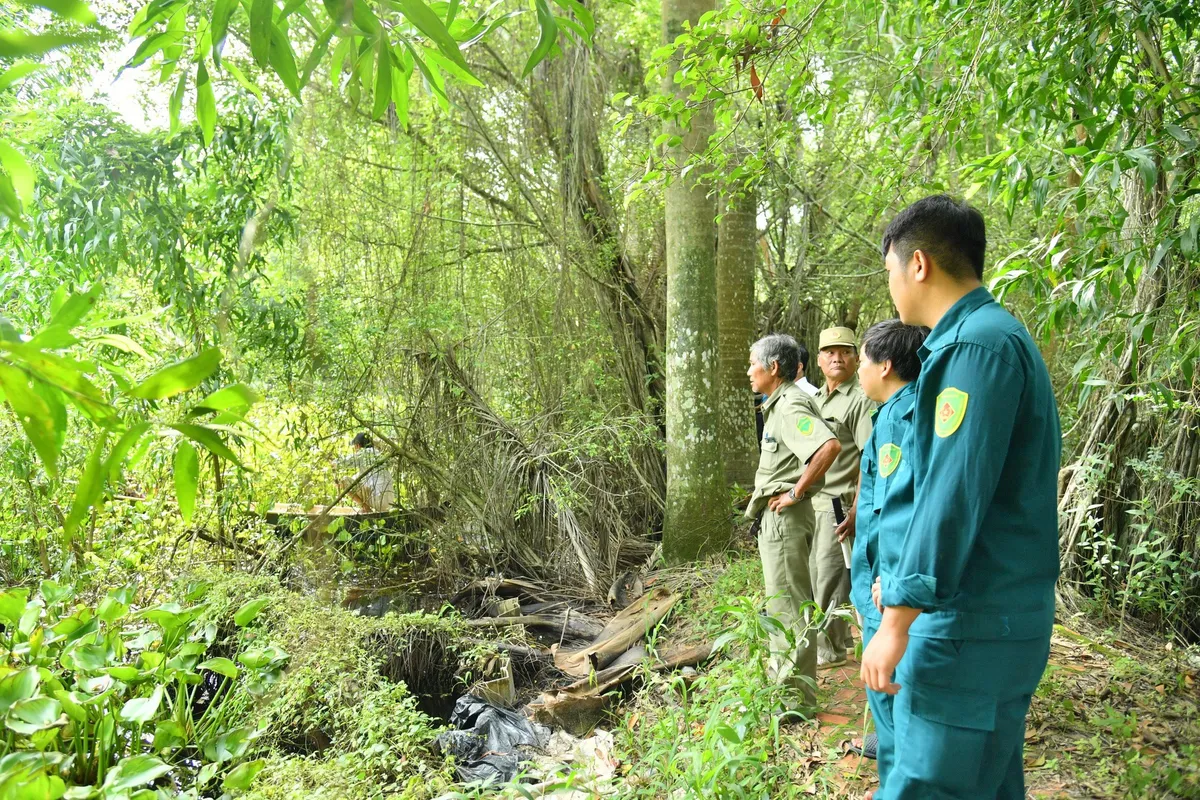 Kiên Giang: Huy động trên 30 người tích cực truy bắt 6 con cá sấu xổng chuồng - Ảnh 2.