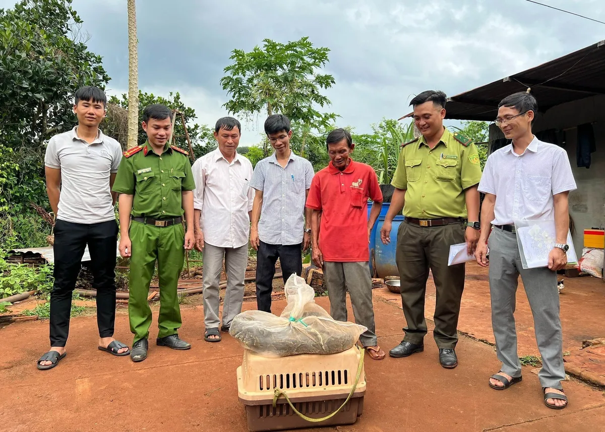 Bình Phước: Bắt được trăn đất quý hiếm, người dân giao nộp cho Kiểm lâm - Ảnh 1.